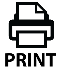 print_icon1